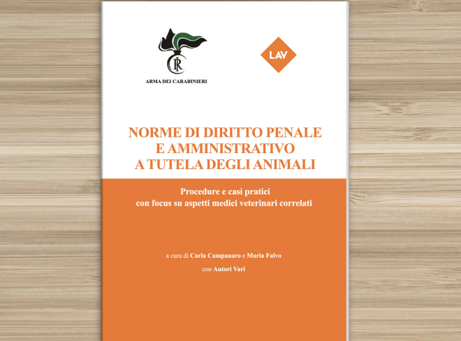 Screenshot 2024 03 19 alle 13.00.50 e1710849763407