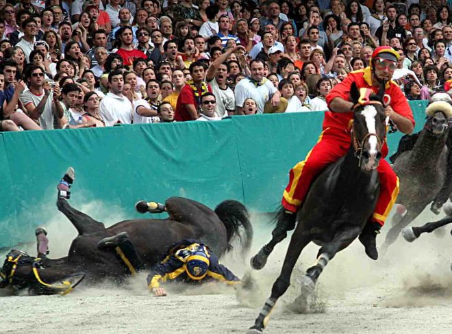 area equidi cavallo palio e1710870941412
