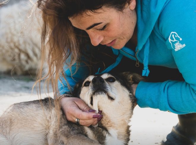 lega del cane3
