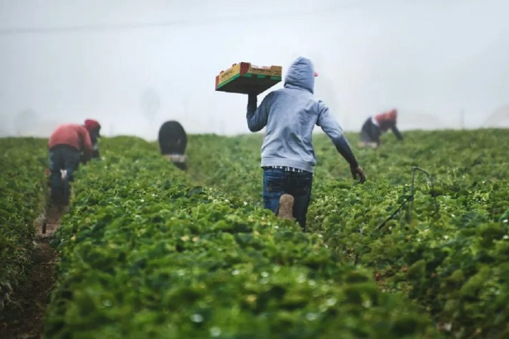 agroalimentare italiano