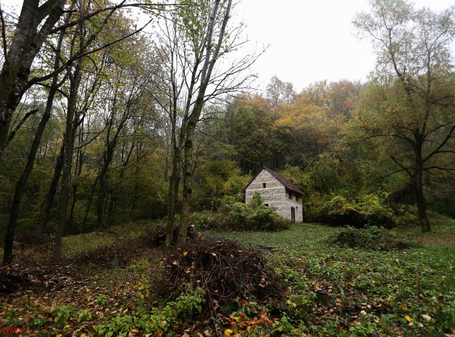 casa nel bosco 92d21fdc 8e30 44a1 8674 c8b6e9d7e531
