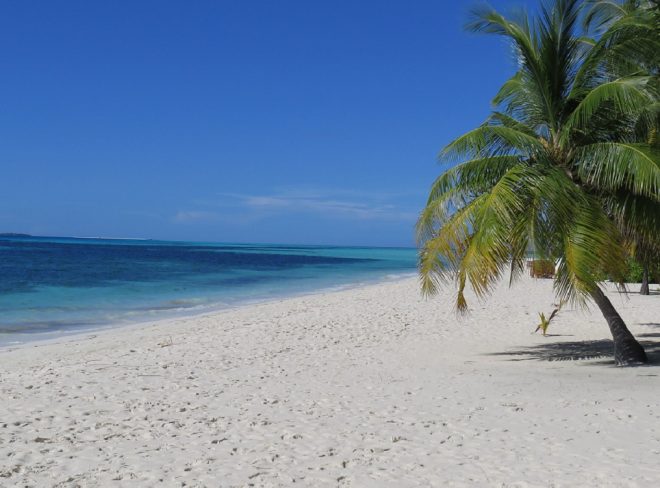 filo isola