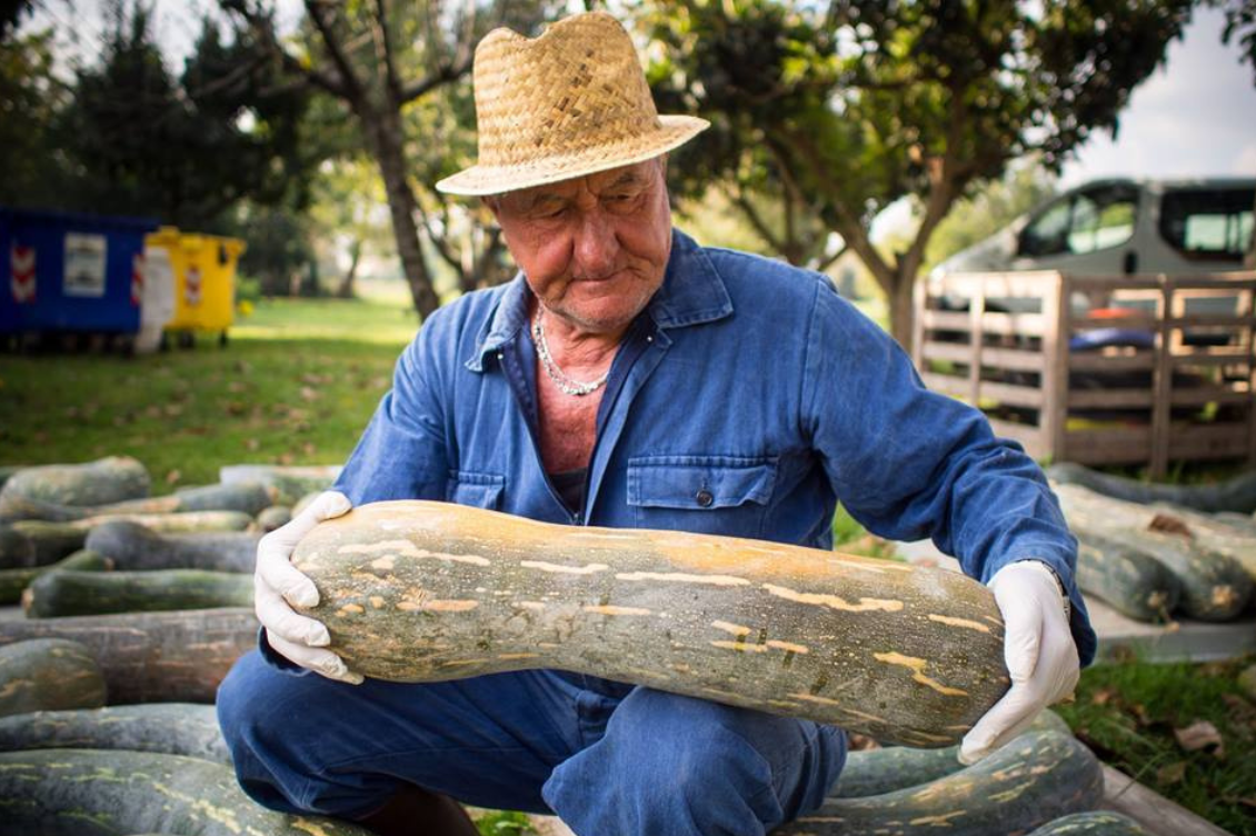 Fuoridizucca3 2