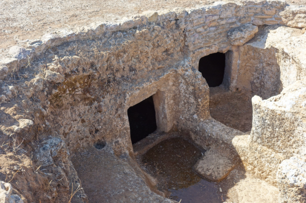 neolitico sardegna