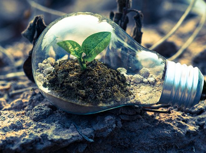 ecofuturo2