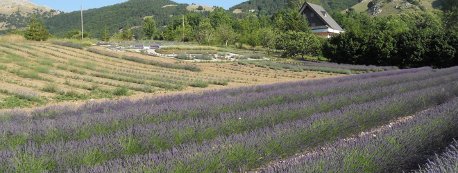 parco della lavanda cop
