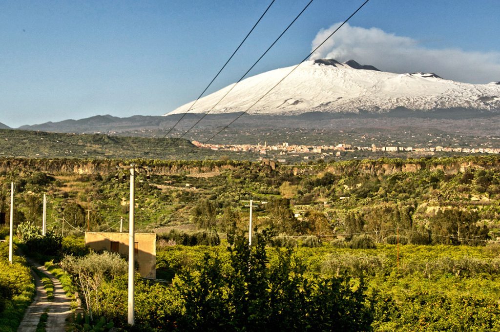 daid mascali etna