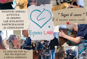 Incontra il mondo animale con Equus Lab