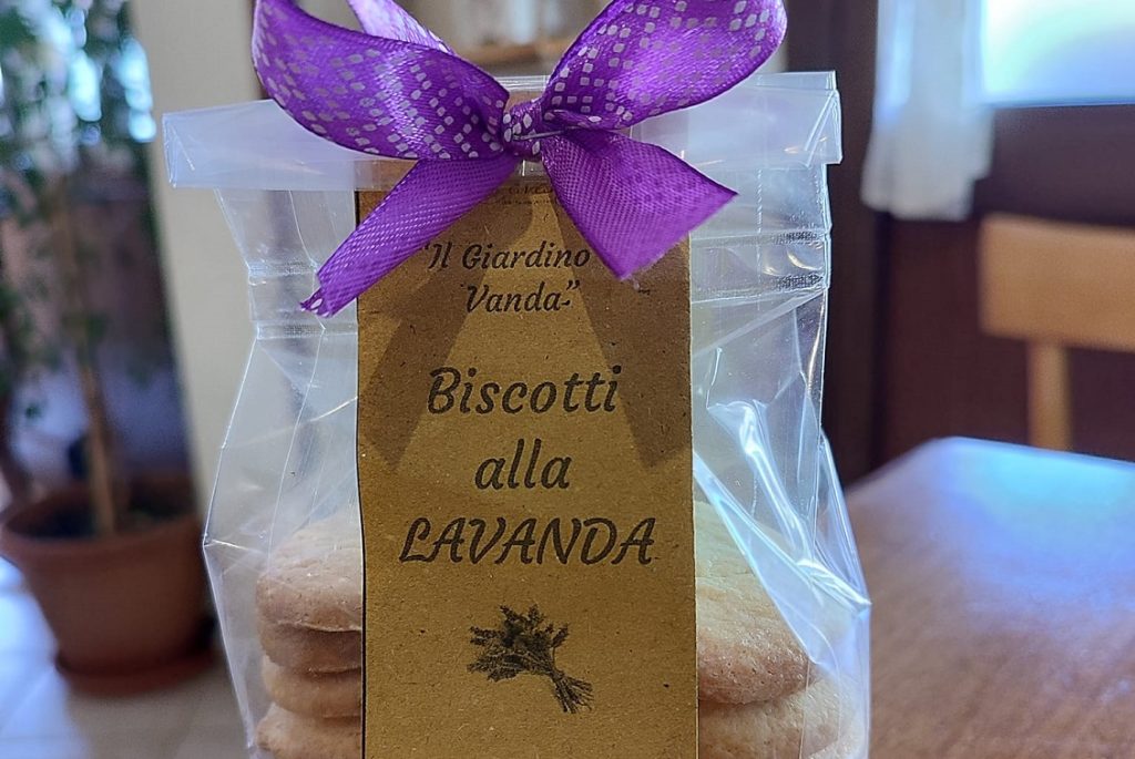 lavanda