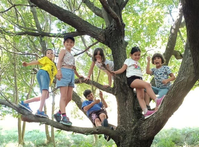 tabacca campo estivo