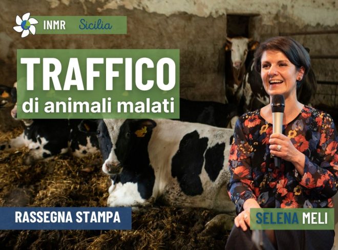 INMR Copertina per homepage smrk 2024 07 16T201901.174