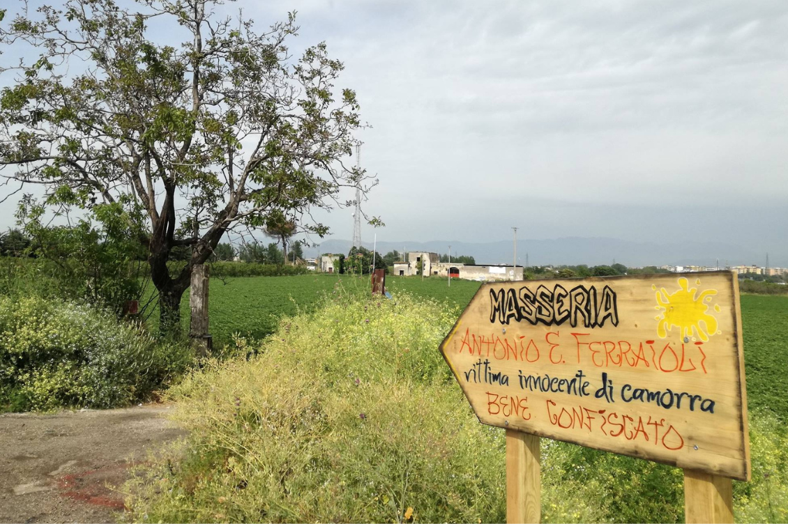 Masseria ferraioli 1