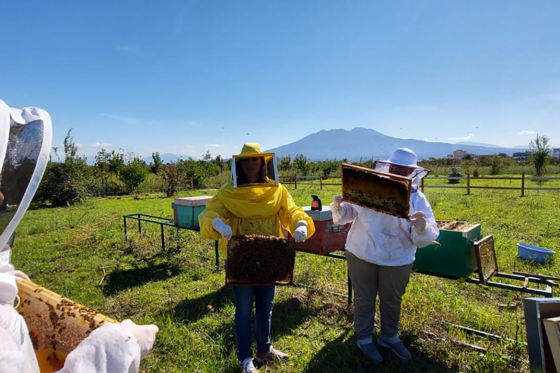 Masseria ferraioli2 1