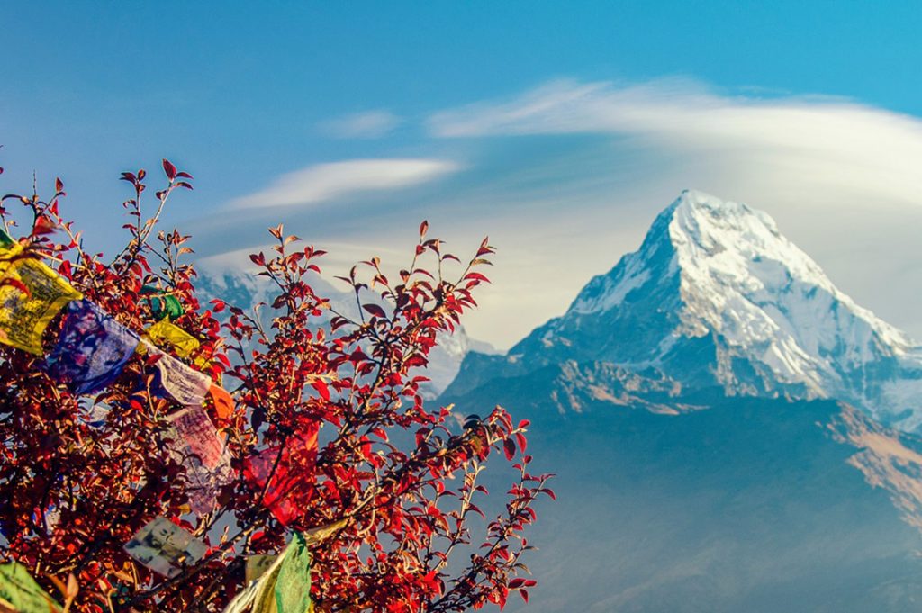 Tour Nepal