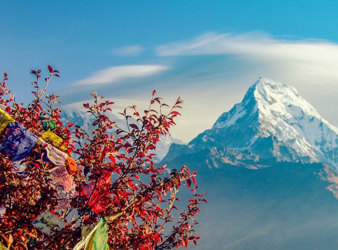 Tour Nepal