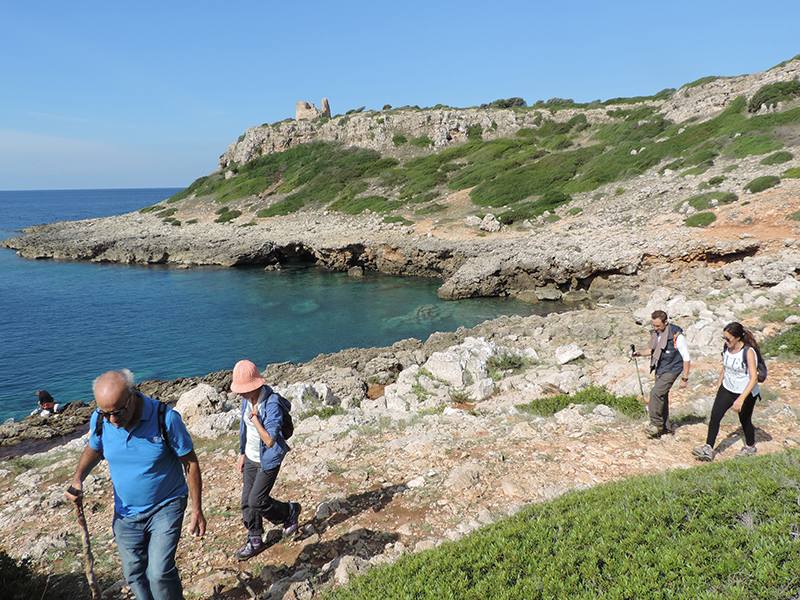 Walden viaggi a piedi 2