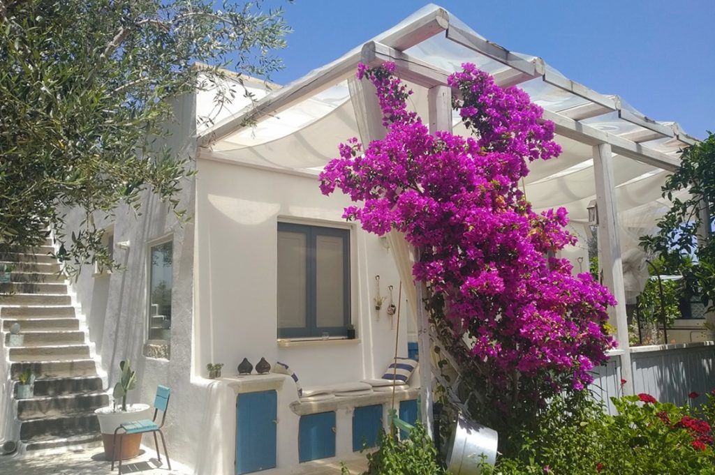 casa primera 1