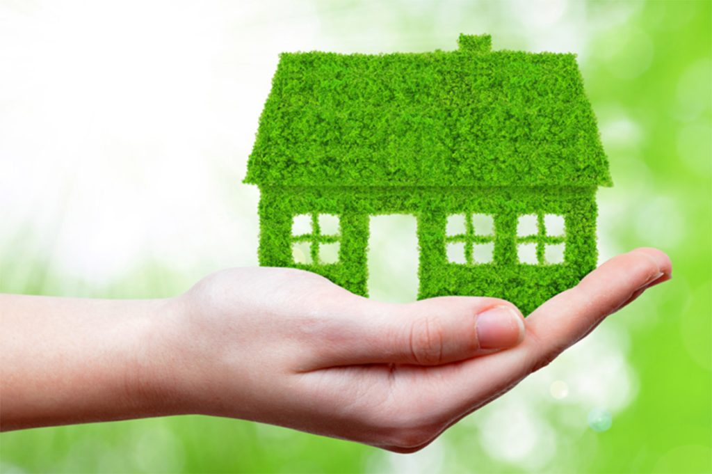 casa green canvafree