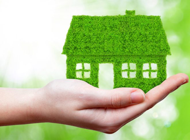 casa green canvafree