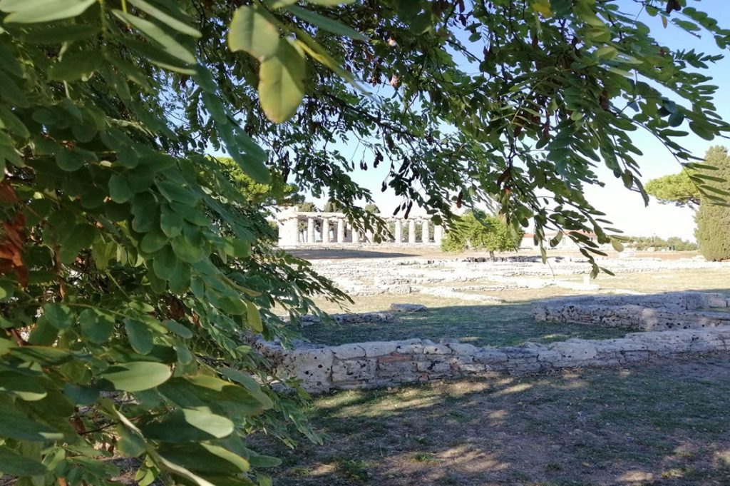 cilento