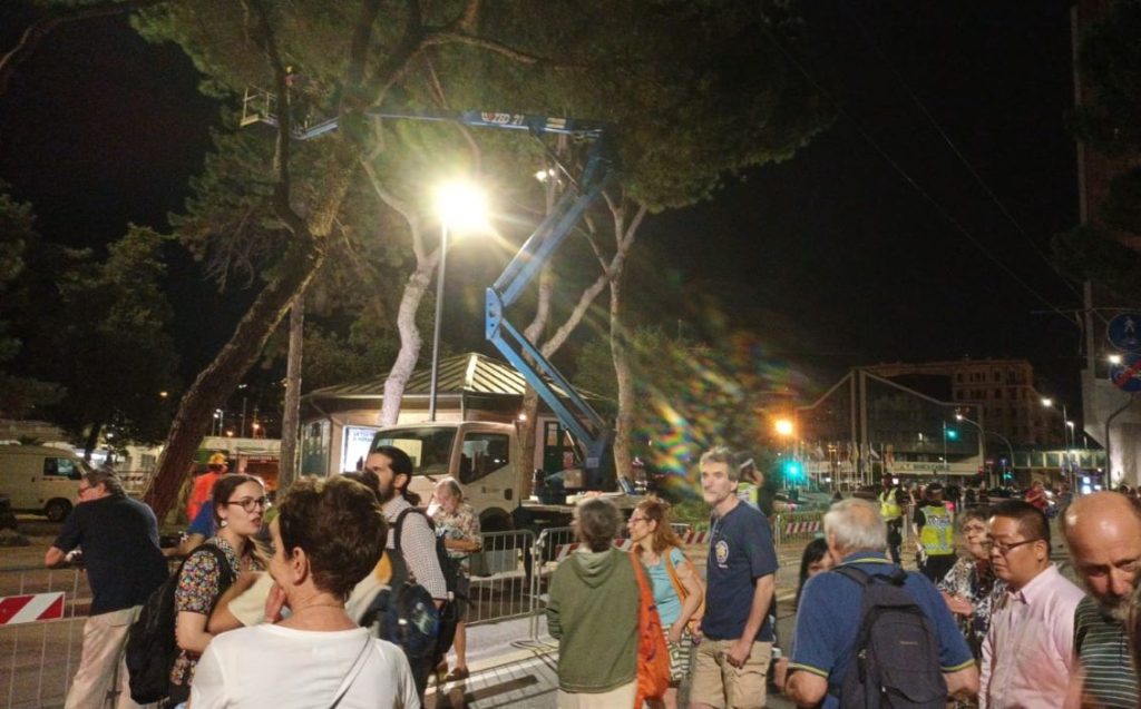 abbattimento degli alberi