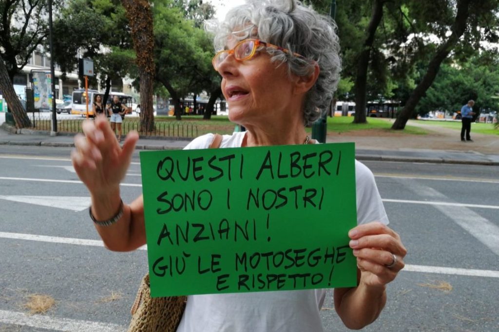 taglio pini brignole
