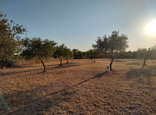 IMG 20240716 190703634 HDR 1
