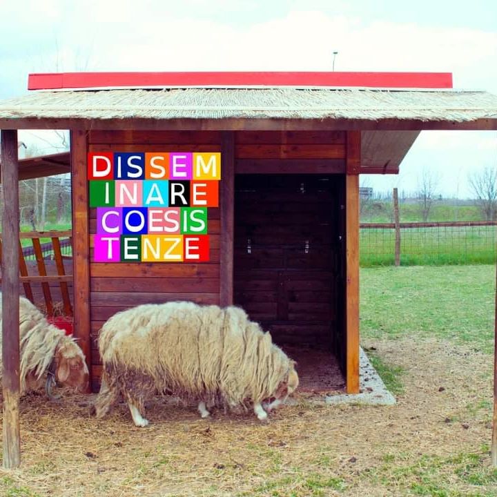 Terrestra 05