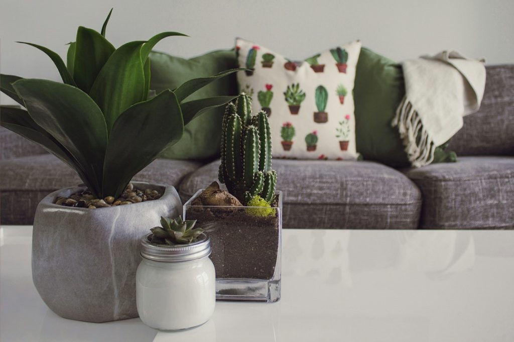 Casa green