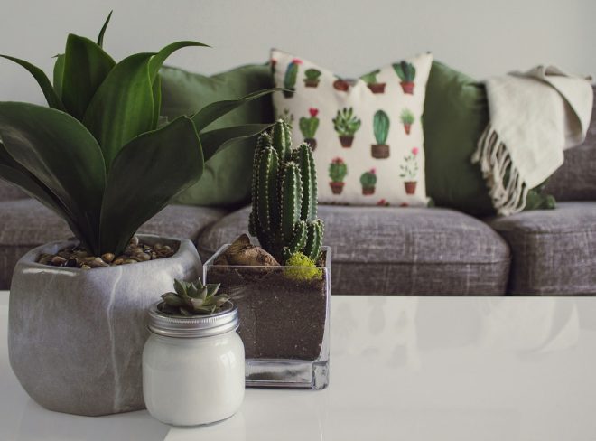 casa green 2