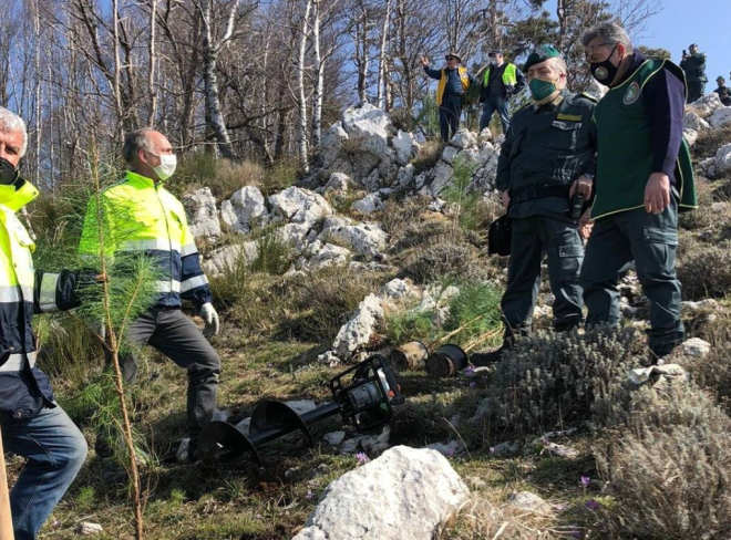 protezione verde 3 1