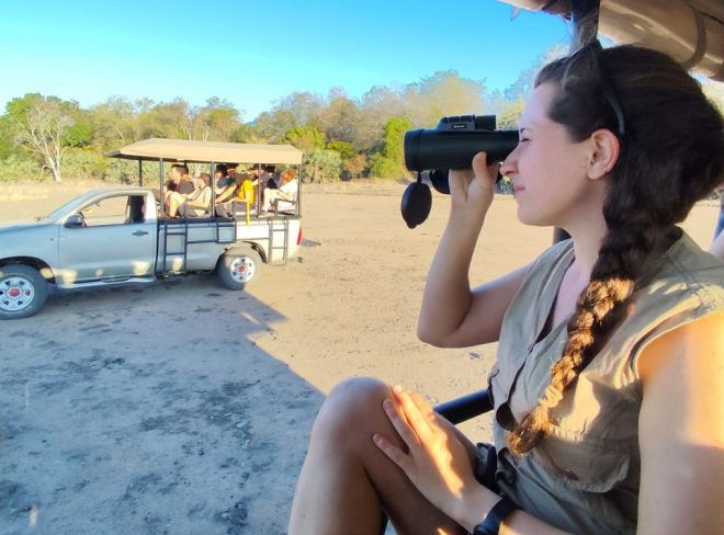 safari 2