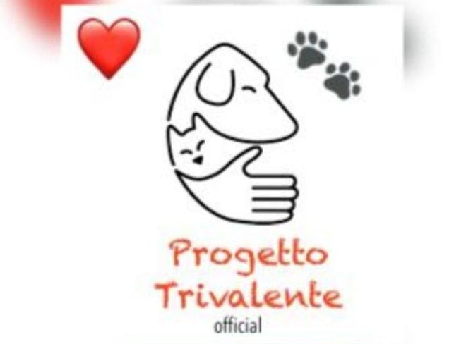 trivalente official 1