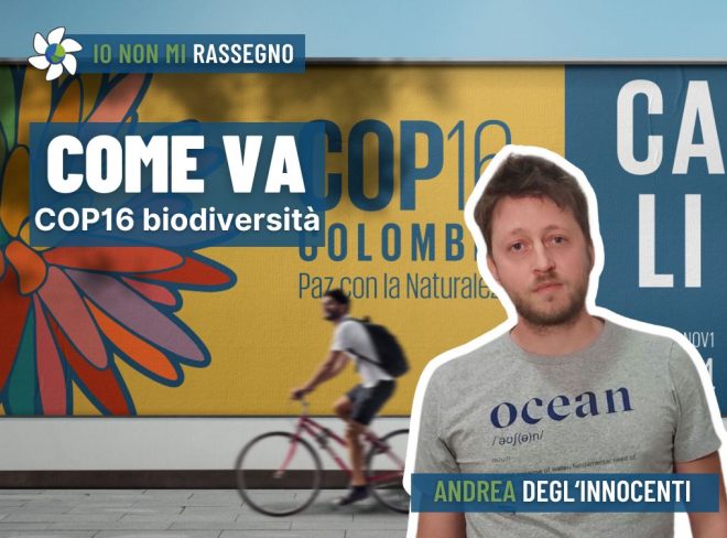 INMR Copertina per homepage smrk 2024 10 30T072138.799