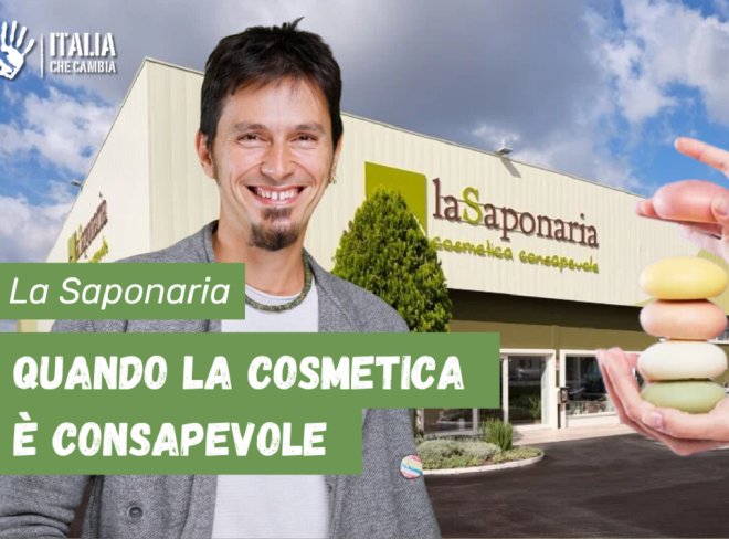 La Saponaria ant