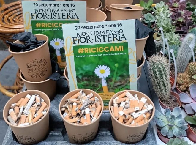 riciccami