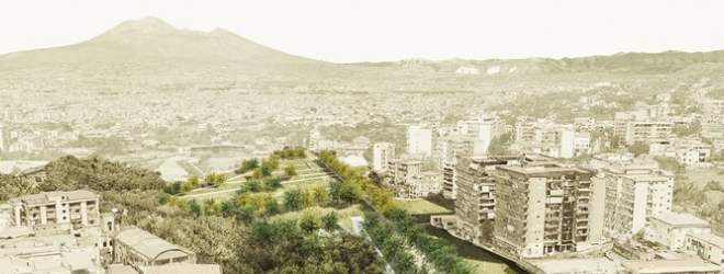 Centola gragnano
