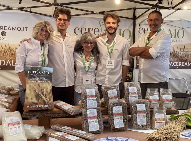Cereamo 2