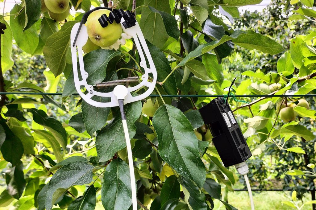 agricoltura di precisione