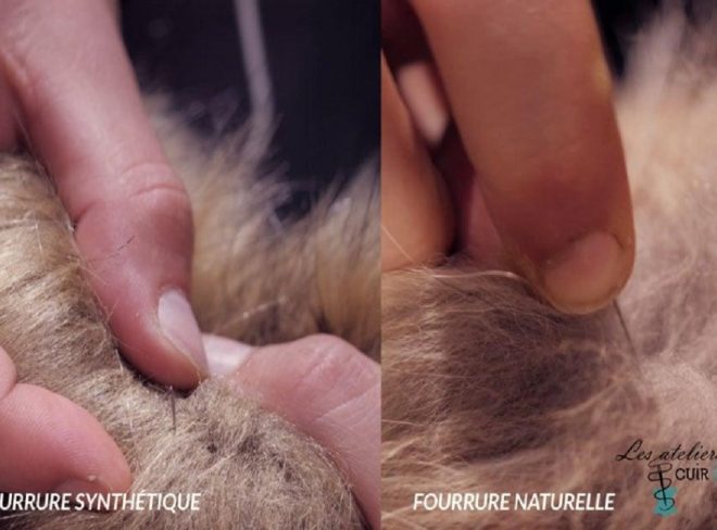 fur test pellicce vere