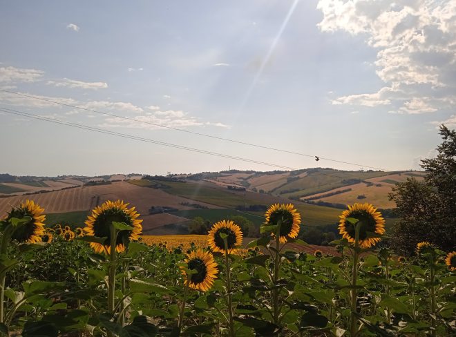 panoramica fuori 7