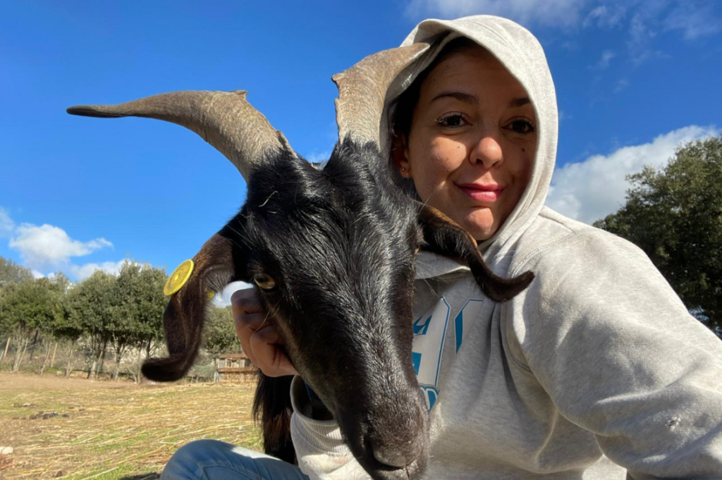 santuario miki pig