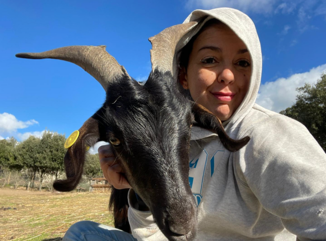 miki pig santuario