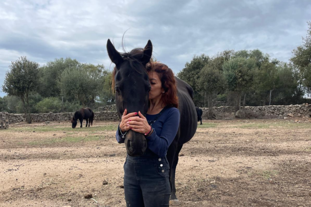 cavallo del santuario miki pig