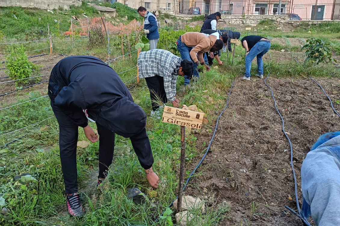 accoglienza girasoli 1 1