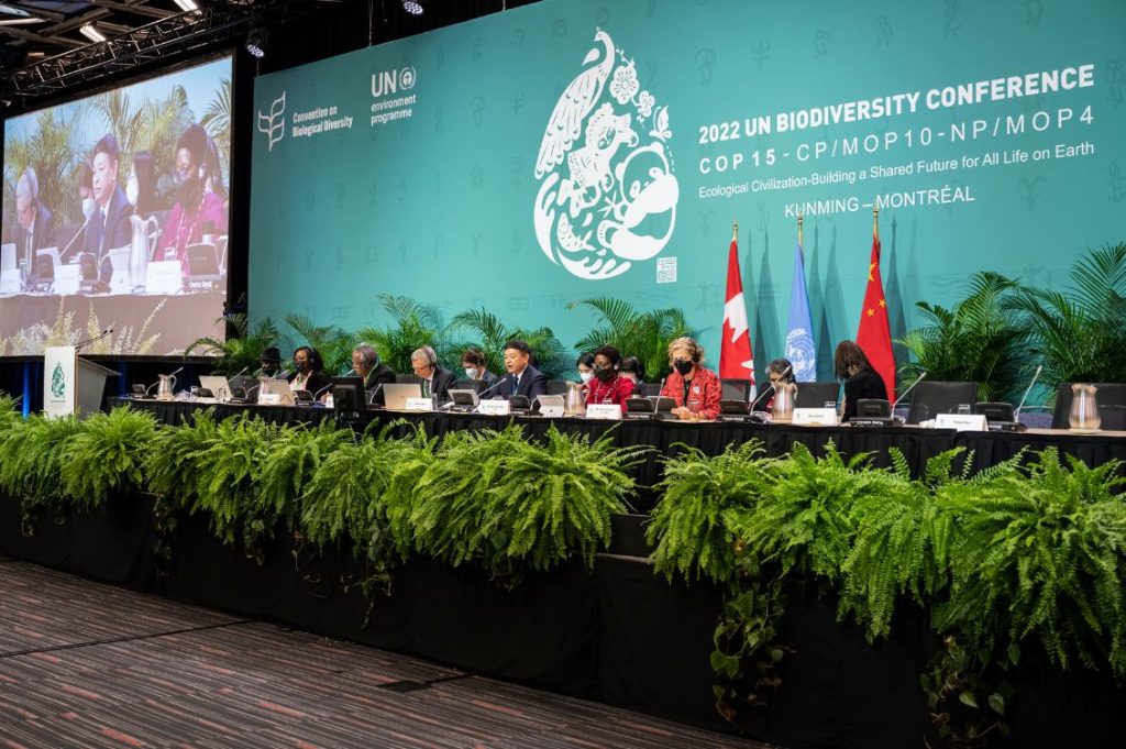 Cop16 roma biodiversità bis