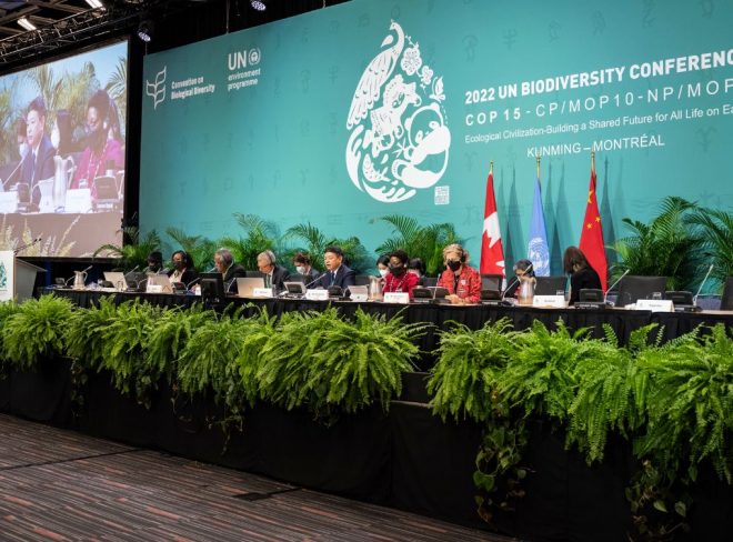 Cop16 roma biodiversità bis