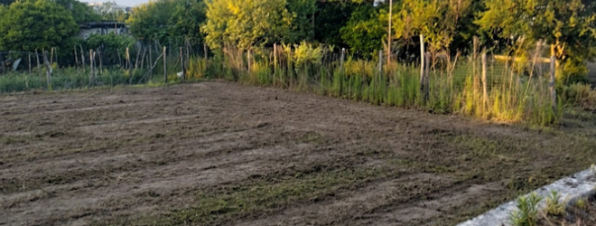 Fondo risorto imm.copertina