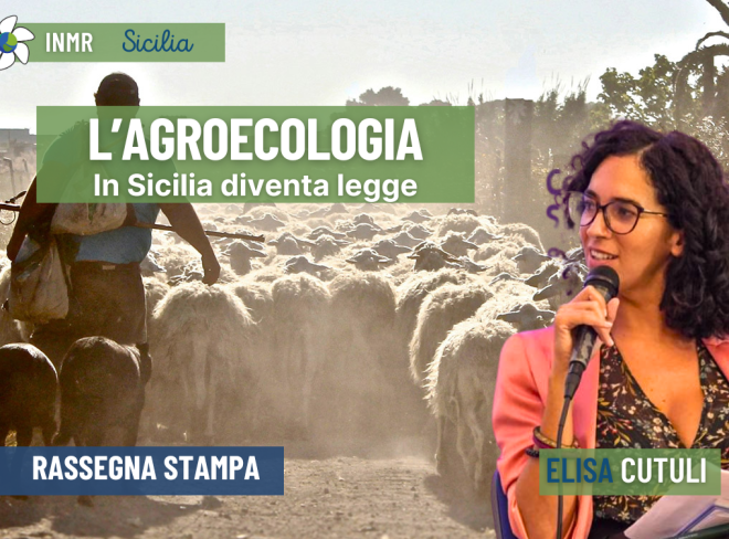 INMR Copertina per homepage smrk 4