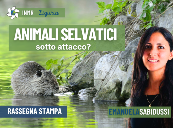INMR Copertina per homepage smrk10